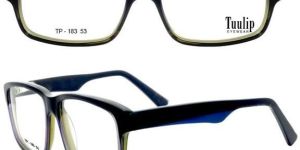 C8 TP 183 Spectacle Frame