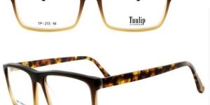 CM3 TP 213 Spectacle Frame