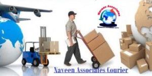 International Parcel Service