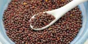 Mustard Seeds