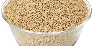 Quinoa Seeds