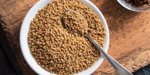Fenugreek Seed