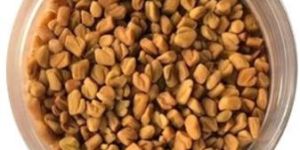 Fenugreek Seeds