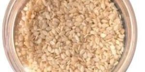 Sesame Seeds