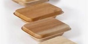 Areca Leaf Container