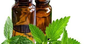 Peppermint Oil