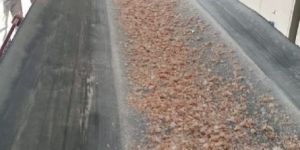 Potassium Feldspar Grains