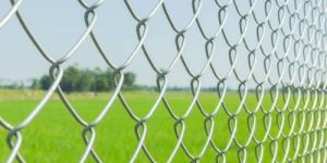Chain Link Fence