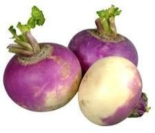 Fresh Turnip