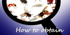 Phytosanitary Certification Service