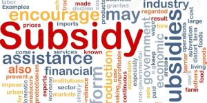 Subsidy Services