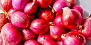 Fresh Sambar Onion