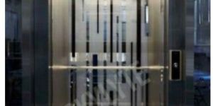 Auto Door Passenger Elevator