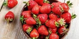 Fresh Strawberry