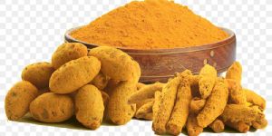 Erode And Salem Gattha Turmeric Finger