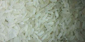 IR-64 Basmati Rice