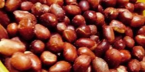 Roasted Peanuts