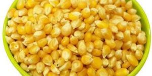 Yellow Corn Seeds
