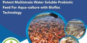 Probfloc Aqua Probiotic