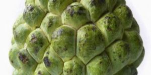 Fresh Custard Apple