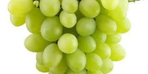Fresh Green Grapes