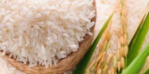 Non Basmati Rice