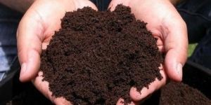 Natural Organic Fertilizer