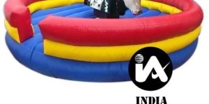 Mechanical Bull Ride