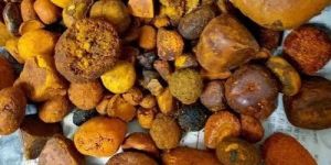 Ox Gallstones
