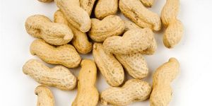 Shelled Peanuts