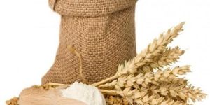 Wheat Flour