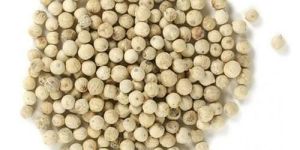 White Pepper Seeds