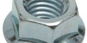 Flange Nuts