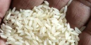 Sona Masoori Sella Rice