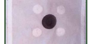 Gasket Type Membrane Filter Press Cloth