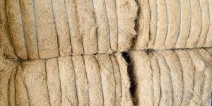 Coir Fibre