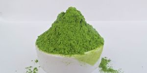 Wheat Grass Powder Best Quality