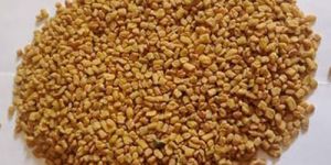 Fenugreek Seed