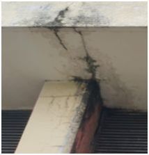 Structural Inspection Services