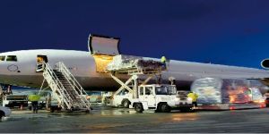 Domestic Cargo Courier Services