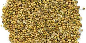 Split Coriander Seeds