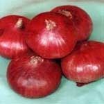 Fresh Red Onion