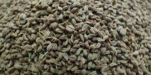 Carom Seeds