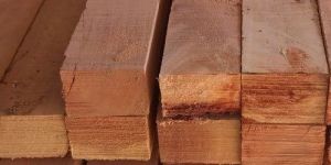 Neem Wood 4X3 Sizes