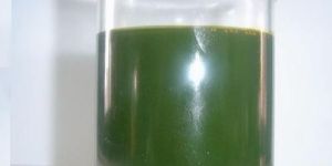 Rubber Processing Oil