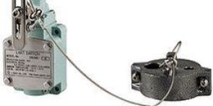 Weight Type Limit Switch