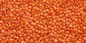 Whole Red Lentils
