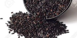 Organic Black Rice