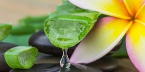 Floral Aloe Vera Gel