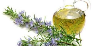 Rosemary Oil